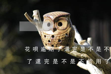 花唄逾期了還完是不是不能用了-花唄逾期了還完是不是不能用了