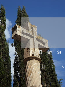 花唄逾期了還有什么軟件能借錢嗎?（花唄逾期了還2500）