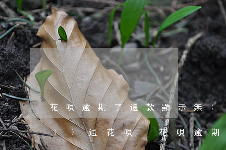 花唄逾期了還款顯示無(wú)法開(kāi)通花唄-花唄逾期了顯示無(wú)法使用花唄錢(qián)怎么還進(jìn)去