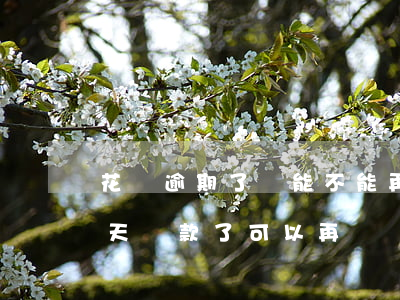 花唄逾期了還能不能再借(支付寶花唄逾期兩天還款了可以再繼續(xù)借嗎)