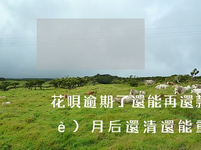 花唄逾期了還能再還款么(花唄逾期幾個(gè)月后還清還能重開花唄嗎)