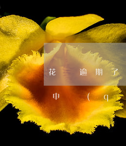 花唄逾期了還能最低還款(花唄逾期了還可以申請(qǐng)最低還款嗎?)