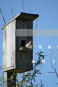 花唄逾期了還能漲額度么(花唄逾期了怎么辦逾期了還能提升額度嗎)