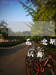 花唄逾期了還能用額度嗎(花唄額度超了還可以用嗎)