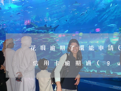 花唄逾期了還能申請(qǐng)信用卡嗎（信用卡逾期過(guò)可以花唄收款嗎）