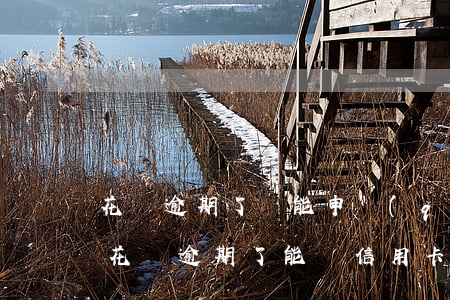 花唄逾期了還能申請(qǐng)信用卡嗎(花唄逾期了能辦信用卡嗎)