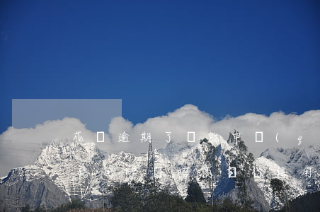 花唄逾期了還能申請(qǐng)招商銀行信用卡嗎（招商銀行信用卡逾期還能刷卡嗎）