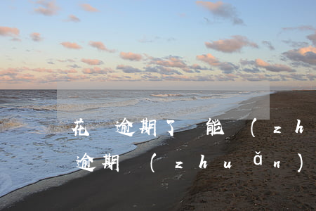 花唄逾期了還能轉(zhuǎn)賬么(花唄逾期轉(zhuǎn)入下個月賬單現(xiàn)在又想提前還)