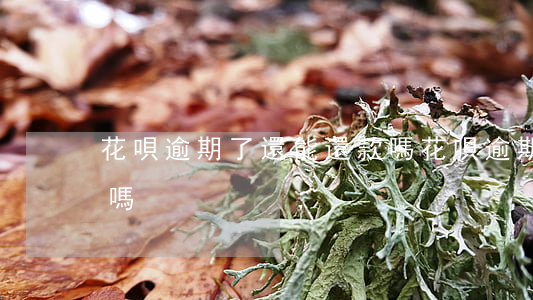 花唄逾期了還能還款嗎（花唄逾期了還能還款嗎）