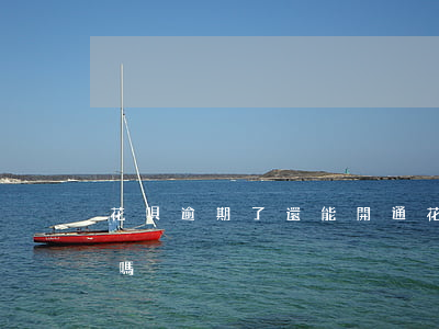 花唄逾期了 還能開通 花唄逾期可以開信用卡嗎