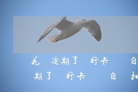 花唄逾期了銀行卡還會自動扣錢嗎-花唄逾期了銀行卡還會自動扣錢嗎怎么辦