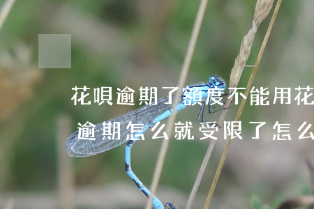 花唄逾期了額度不能用(花唄沒(méi)有逾期怎么就受限了,怎么解除)