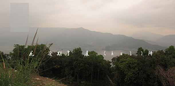 花唄逾期了額度會(huì)降嗎