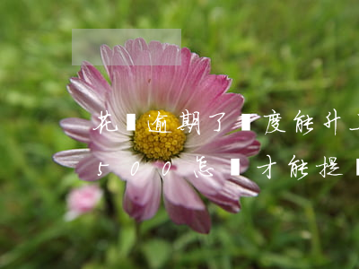 花唄逾期了額度能升上去(花唄逾期額度降到500怎樣才能提額)