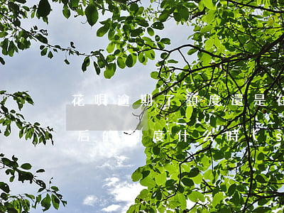 花唄逾期了額度還是在漲(花唄逾期還完了之后的額度什么時(shí)候更新呢)