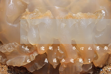 花唄逾期了顯示什么界面(花唄并沒有逾期怎么還是提示逾期了)