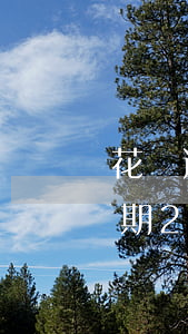 花唄逾期二十天會有什么后果自負-花唄逾期20天會有什么后果?,有獎問答