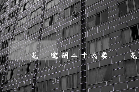 花唄逾期二十天要緊嗎(花唄逾期二十天要緊嗎)