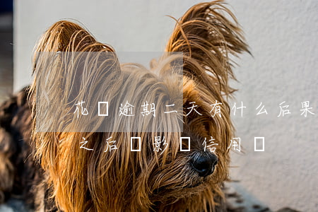 花唄逾期二天有什么后果(花唄逾期1天還了之后會影響信用嗎)