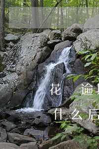花唄逾期二年了定罪嗎(花唄逾期2個月會有什么后果?,有獎問答)