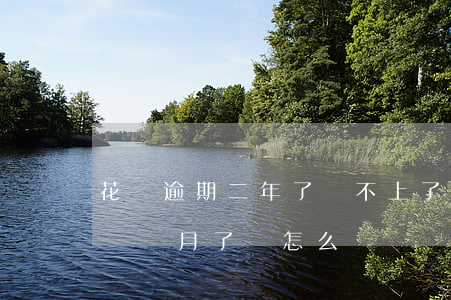 花唄逾期二年了還不上了(花唄欠2萬逾期快兩個月了會怎么樣)