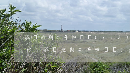花唄逾期二年被凍結(jié)怎么快速解除-花唄逾期二年被凍結(jié)怎么快速解除呢