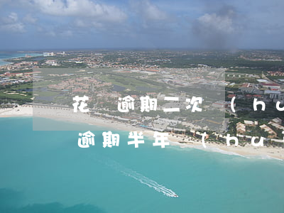 花唄逾期二次會(huì)怎么樣(兩千花唄逾期半年會(huì)怎么樣)