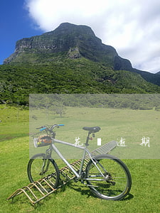 花唄逾期二百元(花唄逾期二百元)