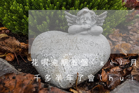 花唄逾期五個(gè)月上門走訪(花唄欠五千多半年了會(huì)不會(huì)上門走訪)