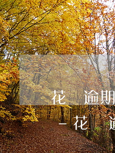 花唄逾期五個(gè)月是否可以辦信用卡-花唄逾期五個(gè)月是否可以辦信用卡了