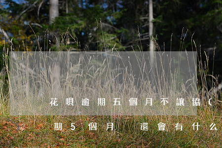 花唄逾期五個月不讓協(xié)商(花唄逾期5個月沒還會有什么嚴(yán)重后果)
