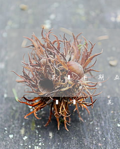 花唄逾期五千有還款記錄會(huì)被起訴嗎-花唄逾期五千有還款記錄會(huì)被起訴嗎知乎
