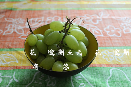花唄逾期五天圖(花唄逾期五天會有什么后果?,有獎問答)