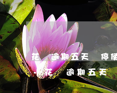 花唄逾期五天暫停使用多久才恢復(fù)-花唄逾期五天暫停使用多久才恢復(fù)正常