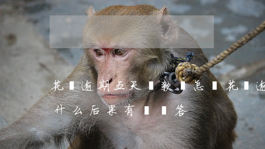 花唄逾期五天還款會怎樣(花唄逾期五天會有什么后果?,有獎問答)