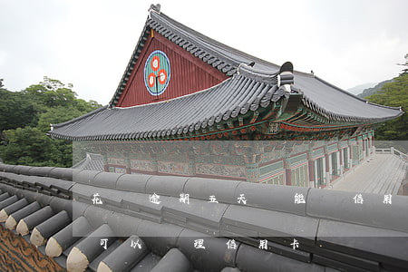 花唄逾期五天還能辦信用卡嗎-花唄逾期過可以辦理信用卡嗎