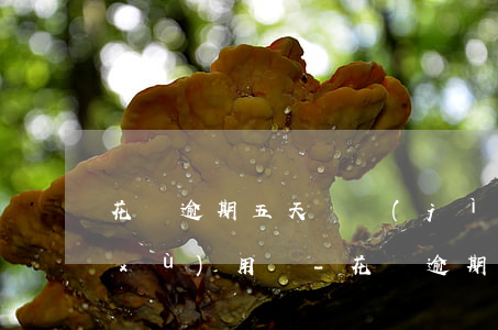 花唄逾期五天還進(jìn)去還能繼續(xù)用嗎-花唄逾期五天還進(jìn)去還能繼續(xù)用嗎