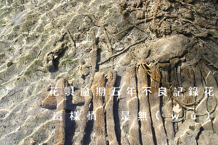 花唄逾期五年不良記錄(花唄有逾期還款記錄,這樣情況是無(wú)法正常使用花唄的)