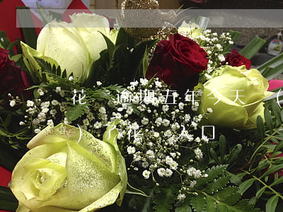 花唄逾期五年今天發(fā)現(xiàn)了花唄入口