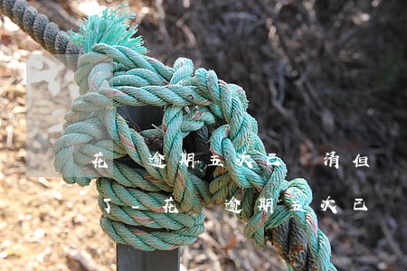 花唄逾期五次已還清但額度凍結(jié)了-花唄逾期五次已還清但額度凍結(jié)了怎么辦