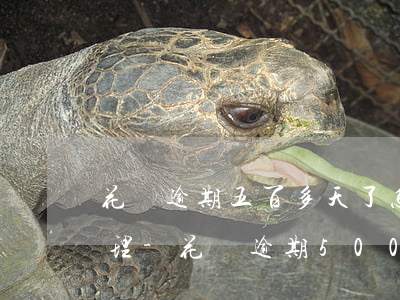 花唄逾期五百多天了怎么協(xié)商處理-花唄逾期500多天協(xié)商還款可以減免違約金嗎