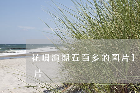 花唄逾期五百多的圖片(1月花唄欠800圖片)