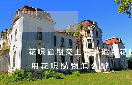 花唄逾期交上了不能用(花唄逾期之后無法使用花唄購物怎么辦)