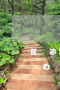 花唄逾期京東能不能開(kāi)通白條(京東白條逾期會(huì)不會(huì)影響花唄)
