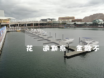 花唄逾期京東金融不讓借