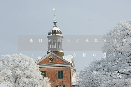 花唄逾期人工催款是啥意思(螞蟻花唄電話(huà)催款好兇)