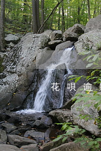 花唄逾期人走了怎么還（花唄逾期人走了）