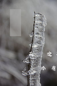 花唄逾期什么事都沒有(花唄沒有逾期為什么顯示有條逾期需要修復)