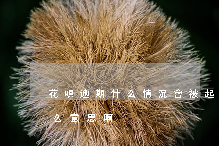 花唄逾期什么情況會被起訴-花唄逾期是什么意思啊
