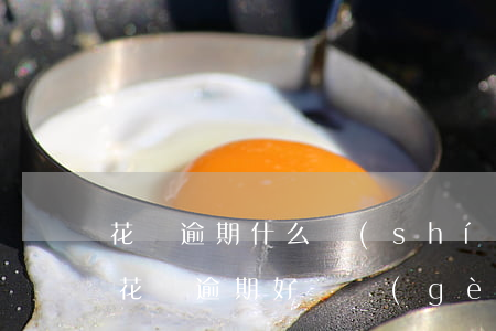 花唄逾期什么時(shí)候恢復(fù)(花唄逾期好幾個(gè)月還完了什么時(shí)候恢復(fù)正常)
